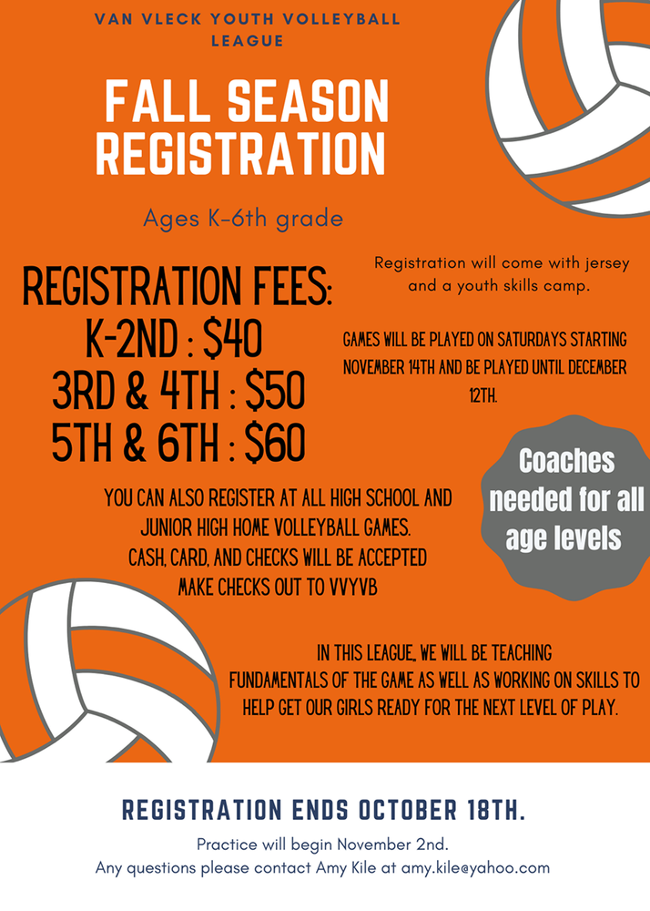 Van Vleck Youth Volleyball League