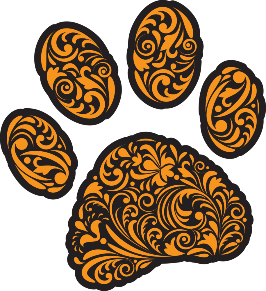 Congratulations!!! Van Vleck Junior High 2021-2022 Cheerleaders & Mascots