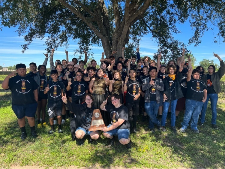 region marching contest