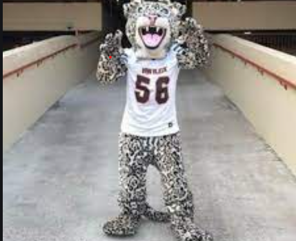 Mascot Tryout Results