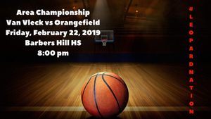 Area Boys Basketball Championship