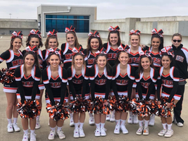 VVHS
